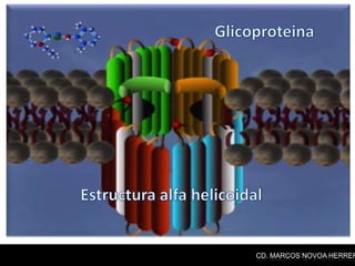 CD. MARCOS NOVOA HERRER
 
