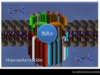 CD. MARCOS NOVOA HERRER
 