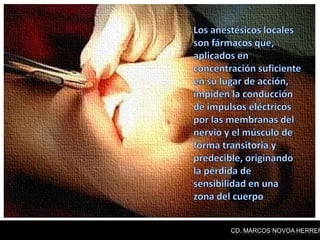 CD. MARCOS NOVOA HERRER
 