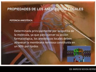 PROPIEDADES DE LOS ANESTESICOS LOCALES


 POTENCIA ANESTÉSICA



    Determinada principalmente por la lipofilia de
    la molécula, ya que para ejercer su acción
    farmacológica, los anestésicos locales deben
    atravesar la membrana nerviosa constituida en
    un 90% por lípidos




                                             CD. MARCOS NOVOA HERRER
 