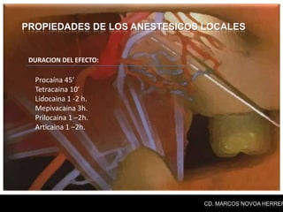 PROPIEDADES DE LOS ANESTESICOS LOCALES


 DURACION DEL EFECTO:

  Procaína 45’
  Tetracaina 10’
  Lidocaina 1 -2 h.
  Mepivacaina 3h.
  Prilocaina 1 –2h.
  Articaina 1 –2h.




                              CD. MARCOS NOVOA HERRER
 