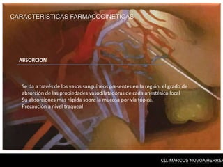 CARACTERISTICAS FARMACOCINETICAS




  ABSORCION



   Se da a través de los vasos sanguíneos presentes en la región, el grado de
   absorción de las propiedades vasodilatadoras de cada anestésico local
   Su absorciones mas rápida sobre la mucosa por vía tópica.
   Precaución a nivel traqueal




                                                                 CD. MARCOS NOVOA HERRER
 