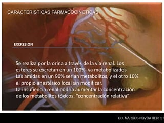 CARACTERISTICAS FARMACOCINETICAS




  EXCRESION



  Se realiza por la orina a través de la vía renal. Los
  esteres se excretan en un 100% ya metabolizados
  Las amidas en un 90% serian metabolitos, y el otro 10%
  el propio anestésico local sin modificar.
  La insufiencia renal podría aumentar la concentración
  de los metabolitos tóxicos. “concentración relativa”


                                               CD. MARCOS NOVOA HERRER
 