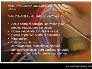ACCION FARMACOLOGICA DELOS ANESTESICOS
LOCALES


ACCION SOBRE EL SISTEMA ARDIOVASCULAR

• Actúa sobre el corazón, los vasos y sus
  propios reguladores nerviosos.
• Ligera vasodilatación de los vasos.
• Efecto depresivo sobre el miocardio
• Hipotensión.
• Estado de colapso
  cardiovascular, bradicardia, bloqueo
  auriculoventricular, paro cardiaco en grado
  extremo y caída de la presión sanguínea



                                          CD. MARCOS NOVOA HERRER
 