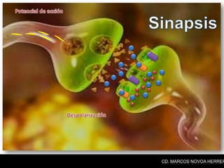 CD. MARCOS NOVOA HERRER
 