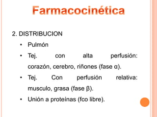 2. DISTRIBUCION
• Pulmón
• Tej.

con

alta

perfusión:

corazón, cerebro, riñones (fase α).
• Tej.

Con

perfusión

musculo, grasa (fase β).
• Unión a proteínas (fco libre).

relativa:

 