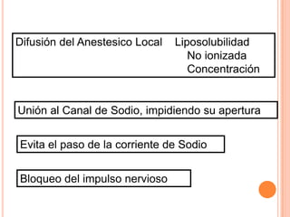 Difusión del Anestesico Local

Liposolubilidad
No ionizada
Concentración

Unión al Canal de Sodio, impidiendo su apertura
Evita el paso de la corriente de Sodio
Bloqueo del impulso nervioso

 