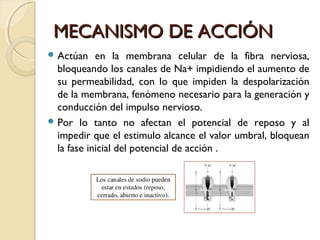 MMEECCAANNIISSMMOO DDEE AACCCCIIÓÓNN 
Actúan en la membrana celular de la fibra nerviosa, 
bloqueando los canales de Na+ impidiendo el aumento de 
su permeabilidad, con lo que impiden la despolarización 
de la membrana, fenómeno necesario para la generación y 
conducción del impulso nervioso. 
Por lo tanto no afectan el potencial de reposo y al 
impedir que el estimulo alcance el valor umbral, bloquean 
la fase inicial del potencial de acción . 
 