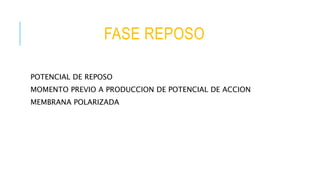 FASE REPOSO
POTENCIAL DE REPOSO
MOMENTO PREVIO A PRODUCCION DE POTENCIAL DE ACCION
MEMBRANA POLARIZADA
 