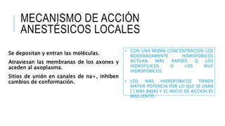 MECANISMO DE ACCIÓN
ANESTÉSICOS LOCALES
Se depositan y entran las moléculas.
Atraviesan las membranas de los axones y
aceden al axoplasma.
Sitios de unión en canales de na+, inhiben
cambios de conformación.
• CON UNA MISMA CONCENTRACION LOS
MODERADAMENTE HIDROFOBICOS
ACTUAN MAS RAPIDO Q LOS
HIDROFILICOS O LOS MUY
HIDROFOBICOS.
• LOS MAS HIDROFOBICOS TIENEN
MAYOR POTENCIA POR LO QUE SE USAN
[ ] MAS BAJAS Y EL INICIO DE ACCION ES
MAS LENTO.
 
