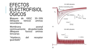 EFECTOS
ELECTROFISIOL
ÓGICOS
Bloqueo de VSGC 30-50%
(bloqueo tónico) aminas
secundarias
Membrana axonal
continuamente despolarizada
(Bloqueo fasico) aminas
terciarias
“Hipótesis del receptor
guardado”
 