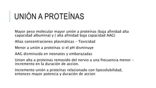 UNIÓN A PROTEÍNAS
Mayor peso molecular mayor unión a proteínas (baja afinidad alta
capacidad albumina) y ( alta afinidad baja capacidad AAG)
Altas concentraciones plasmáticas – Toxicidad
Menor a unión a proteínas si el pH disminuye
AAG disminuida en neonatos y embarazadas
Union alta a proteinas removido del nervio a una frecuencia menor –
incremento en la duración de accion.
Incremento unión a proteínas relacionado con liposolubilidad,
entonces mayor potencia y duración de accion
 