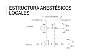 ESTRUCTURA ANESTÉSICOS
LOCALES
 