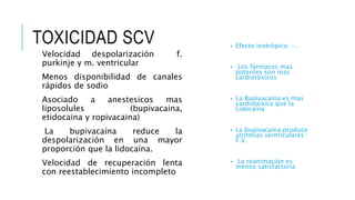 TOXICIDAD SCV
Velocidad despolarización f.
purkinje y m. ventricular
Menos disponibilidad de canales
rápidos de sodio
Asociado a anestesicos mas
liposolules (bupivacaina,
etidocaina y ropivacaina)
La bupivacaína reduce la
despolarización en una mayor
proporción que la lidocaína.
Velocidad de recuperación lenta
con reestablecimiento incompleto
• Efecto inotrópico -.
• Los fármacos mas
potentes son mas
cardiotóxicos
• La Bupivacaína es mas
cardiotóxica que la
Lidocaína
• La bupivacaína produce
arritmias ventriculares :
F.V.
• La reanimación es
menos satisfactoria
 
