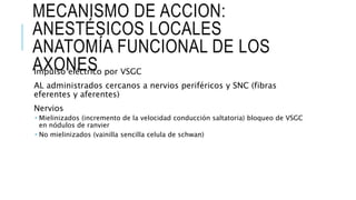 MECANISMO DE ACCION:
ANESTÉSICOS LOCALES
ANATOMÍA FUNCIONAL DE LOS
AXONESImpulso eléctrico por VSGC
AL administrados cercanos a nervios periféricos y SNC (fibras
eferentes y aferentes)
Nervios
 Mielinizados (incremento de la velocidad conducción saltatoria) bloqueo de VSGC
en nódulos de ranvier
 No mielinizados (vainilla sencilla celula de schwan)
 