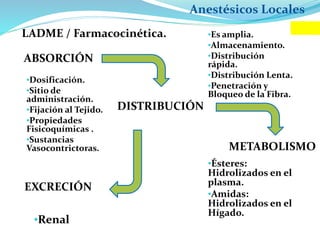 Anestésicos Locales
LADME / Farmacocinética.
ABSORCIÓN
DISTRIBUCIÓN
EXCRECIÓN
METABOLISMO
•Dosificación.
•Sitio de
administración.
•Fijación al Tejido.
•Propiedades
Fisicoquímicas .
•Sustancias
Vasocontrictoras.
•Es amplia.
•Almacenamiento.
•Distribución
rápida.
•Distribución Lenta.
•Penetración y
Bloqueo de la Fibra.
•Ésteres:
Hidrolizados en el
plasma.
•Amidas:
Hidrolizados en el
Hígado.
•Renal
 