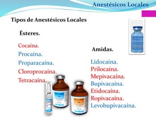 Anestésicos Locales
Tipos de Anestésicos Locales
Ésteres.
Amidas.
Cocaína.
Procaína.
Proparacaína.
Cloroprocaína.
Tetracaína.
Lidocaína.
Prilocaína.
Mepivacaína.
Bupivacaína.
Etidocaína.
Ropivacaína.
Levobupivacaína.
 