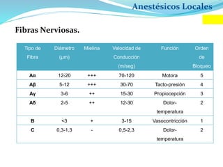 Anestésicos Locales
Fibras Nerviosas.
Tipo de
Fibra
Diámetro
(μm)
Mielina Velocidad de
Conducción
(m/seg)
Función Orden
de
Bloqueo
Aα 12-20 +++ 70-120 Motora 5
Aβ 5-12 +++ 30-70 Tacto-presión 4
Aγ 3-6 ++ 15-30 Propiocepción 3
Aδ 2-5 ++ 12-30 Dolor-
temperatura
2
B <3 + 3-15 Vasocontricción 1
C 0,3-1,3 - 0,5-2,3 Dolor-
temperatura
2
 