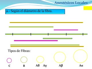 Anestésicos Locales
a.- Según el diámetro de la fibra.
Tipos de Fibras:
C B Aδ Aγ Aβ Aα
 