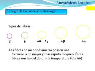 Anestésicos Locales
b.- Según la Frecuencia de Descarga.
Tipos de Fibras:
C B Aδ Aγ Aβ Aα
Las fibras de menor diámetro poseen una
frecuencia de mayor y más rápido bloqueo. Éstas
fibras son las del dolor y la temperatura (C y Aδ)
 