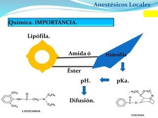 Anestésicos Locales
Química. IMPORTANCIA.
Lipófila.
Amida ó
Éster
Hidrófila
pH. pKa.
Difusión.
 