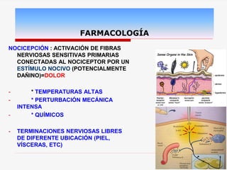 NOCICEPCIÓN : ACTIVACIÓN DE FIBRAS
NERVIOSAS SENSITIVAS PRIMARIAS
CONECTADAS AL NOCICEPTOR POR UN
ESTÍMULO NOCIVO (POTENCIALMENTE
DAÑINO)=DOLOR
- * TEMPERATURAS ALTAS
- * PERTURBACIÓN MECÁNICA
INTENSA
- * QUÍMICOS
- TERMINACIONES NERVIOSAS LIBRES
DE DIFERENTE UBICACIÓN (PIEL,
VÍSCERAS, ETC)
FARMACOLOGÍA
 