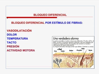 BLOQUEO DIFERENCIAL
*
BLOQUEO DIFERENCIAL POR ESTÍMULO DE FIBRAS:
VASODILATACIÓN
DOLOR
TEMPERATURA
TACTO
PRESIÓN
ACTIVIDAD MOTORA
 