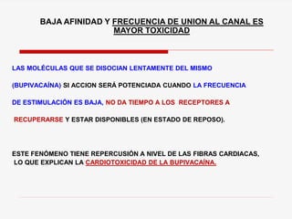 LAS MOLÉCULAS QUE SE DISOCIAN LENTAMENTE DEL MISMO
(BUPIVACAÍNA) SI ACCION SERÁ POTENCIADA CUANDO LA FRECUENCIA
DE ESTIMULACIÓN ES BAJA, NO DA TIEMPO A LOS RECEPTORES A
RECUPERARSE Y ESTAR DISPONIBLES (EN ESTADO DE REPOSO).
ESTE FENÓMENO TIENE REPERCUSIÓN A NIVEL DE LAS FIBRAS CARDIACAS,
LO QUE EXPLICAN LA CARDIOTOXICIDAD DE LA BUPIVACAÍNA.
BAJA AFINIDAD Y FRECUENCIA DE UNION AL CANAL ES
MAYOR TOXICIDAD
 