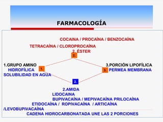 COCAINA / PROCAÍNA / BENZOCAÍNA
TETRACAÍNA / CLOROPROCAÍNA
2. ÉSTER
1.GRUPO AMINO 3.PORCIÓN LIPOFÍLICA
HIDROFÍLICA PERMEA MEMBRANA
SOLUBILIDAD EN AGUA
2.AMIDA
LIDOCAINA
BUPIVACAÍNA / MEPIVACAÍNA PRILOCAÍNA
ETIDOCAÍNA / ROPIVACAÍNA / ARTICAÍNA
/LEVOBUPIVACAÍNA
CADENA HIDROCARBONATADA UNE LAS 2 PORCIONES
FARMACOLOGÍA
1.
2.
3.
2.
 