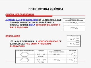 ESTRUCTURA QUÍMICA
CADENA HIDROCARBONADA
AUMENTA LA LIPOSOLUBILIDAD DE LA MOLÉCULA QUE
TAMBIEN AUMENTA CON EL TAMAÑO DE LA
CADENA, INFLUYE EN LA DURACIÓN DE ACCIÓN Y
EN LA TOXICIDAD
GRUPO AMINO
ES LA QUE DETERMINA LA HIDROSOLUBILIDAD DE
LA MOLÉCULA Y SU UNIÓN A PROTEÍNAS
PLASMÁTICAS
 
