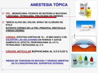  PIEL (BENZOCAÍNA- PICRATO DE BUTESÍN) O MUCOSAS
(LIDOCAÍNA, TETRACAÍNA, PRILOCAÍNA EN CREMAS)
 *BREVE ALIVIO DEL DOLOR. SPRAY DE CLORURO DE
ETILO
- ESTRATO CÓRNEO DE LA PIEL PRINCIPAL OBSTÁCULO
(FIBRAS DERMIS)
-
- CÓRNEA: EFECTOS CORTOS DE 10 – 15 MIN HASTA 2 HR,
CALENTAR LAS SOLUCIONES EN PERROS Y GATOS
AUMENTA EL EFECTO. PROPARACAINA AL 0.5 %;
TETRACAÍNA Y BUTACAÍNA AL 2 %
- CIRUGÍA ARTICULAR BUPIVACAINA AL 0.5 O 0.25 %
- RIESGO DE TOXICIDAD EN MUCOSA Y HERIDAS ABIERTAS
(ALTA CONCENTRACIÓN, SUPERFICIE EXTENSA)
-
ANESTESIA TÓPICA
 