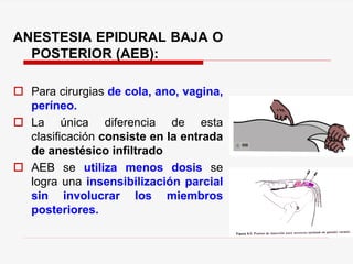 ANESTESIA EPIDURAL BAJA O
POSTERIOR (AEB):
 Para cirurgias de cola, ano, vagina,
períneo.
 La única diferencia de esta
clasificación consiste en la entrada
de anestésico infiltrado
 AEB se utiliza menos dosis se
logra una insensibilización parcial
sin involucrar los miembros
posteriores.
 