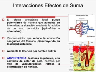 Interacciones Efectos de Suma
 El efecto anestésico local puede
potenciarse de manera que aumente su
intensidad y duración mediante la adición
de un vaso constrictor (epinefrina –
adrenalina).
 Vasoconstrictor que reduce la absorción
sanguínea del fármaco, disminuyendo su
toxicidad sistémica.
 Aumenta la latencia por cambio del Ph
 ADVERTENCIA: lesiones isquémica, con
cambios de color de pelo, necrosis por
falta de vascularización, retrasa la
cicatrización de heridas.
 