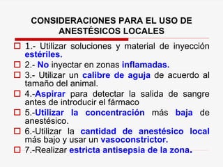 CONSIDERACIONES PARA EL USO DE
ANESTÉSICOS LOCALES
 1.- Utilizar soluciones y material de inyección
estériles.
 2.- No inyectar en zonas inflamadas.
 3.- Utilizar un calibre de aguja de acuerdo al
tamaño del animal.
 4.-Aspirar para detectar la salida de sangre
antes de introducir el fármaco
 5.-Utilizar la concentración más baja de
anestésico.
 6.-Utilizar la cantidad de anestésico local
más bajo y usar un vasoconstrictor.
 7.-Realizar estricta antisepsia de la zona.
 