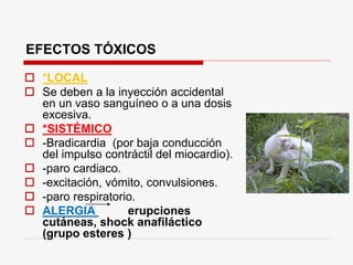 EFECTOS TÓXICOS
 *LOCAL
 Se deben a la inyección accidental
en un vaso sanguíneo o a una dosis
excesiva.
 *SISTÉMICO
 -Bradicardia (por baja conducción
del impulso contráctil del miocardio).
 -paro cardiaco.
 -excitación, vómito, convulsiones.
 -paro respiratorio.
 ALERGIA erupciones
cutáneas, shock anafiláctico
(grupo esteres )
 