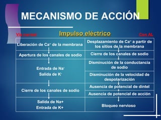 MECANISMO DE ACCIÓN
Ausencia de potencial de acción
Disminución de la velocidad de
despolarización
Bloqueo nervioso
Salida de Na+
Entrada de K+
Ausencia de potencial de dintel
Cierre de los canales de sodio
Disminución de la conductancia
de sodioEntrada de Na+
Salida de K+
Cierre de los canales de sodioApertura de los canales de sodio
Desplazamiento de Ca++
a partir de
los sitios de la membranaLiberación de Ca++
de la membrana
Impulso eléctricoImpulso eléctricoVia normal Con AL
 