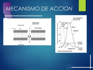 MECANISMO DE ACCION
 