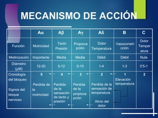 MECANISMO DE ACCIÓN
2
Perdida de la
sensación de
temperatura
Alivio del
dolor
1-4
Débil
Dolor
Temperatura
Aδ
3
Perdida
de la
propioce
pción
5-10
Media
Propioce
pción
Aγ
4
Perdida
de la
sensación
de tacto y
presión
5-12
Media
Tacto
Presión
Aβ
5
Perdida de
la
motricidad
12-20
Importante
Motricidad
Aα
Cronología
del bloqueo
Signos del
bloque
nervioso
Diámetro
(µM)
Mielinización
Función
CB
21
Elevación
temperatura
0’5-11-3
NulaDébil
Dolor
Temper
atura
Vasoconstri
cción
 