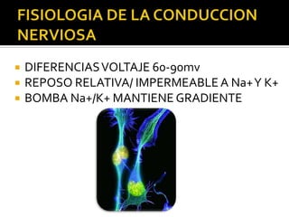    DIFERENCIAS VOLTAJE 60-90mv
   REPOSO RELATIVA/ IMPERMEABLE A Na+ Y K+
   BOMBA Na+/K+ MANTIENE GRADIENTE
 