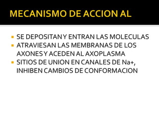    SE DEPOSITAN Y ENTRAN LAS MOLECULAS
   ATRAVIESAN LAS MEMBRANAS DE LOS
    AXONES Y ACEDEN AL AXOPLASMA
   SITIOS DE UNION EN CANALES DE Na+,
    INHIBEN CAMBIOS DE CONFORMACION
 