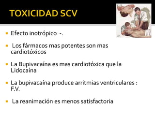   Efecto inotrópico -.
   Los fármacos mas potentes son mas
    cardiotóxicos
   La Bupivacaína es mas cardiotóxica que la
    Lidocaína
   La bupivacaína produce arritmias ventriculares :
    F.V.
   La reanimación es menos satisfactoria
 