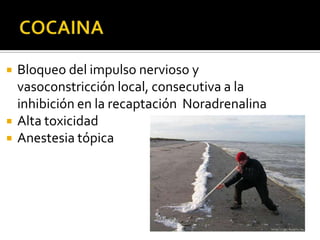   Bloqueo del impulso nervioso y
    vasoconstricción local, consecutiva a la
    inhibición en la recaptación Noradrenalina
   Alta toxicidad
   Anestesia tópica
 