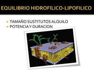    TAMAÑO SUSTITUTOS ALQUILO
   POTENCIA Y DURACION
 