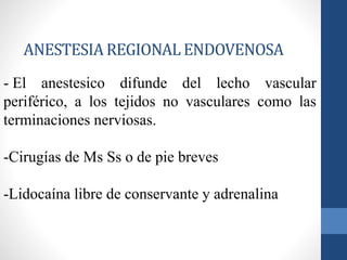ANESTESIA REGIONAL ENDOVENOSA
- El anestesico difunde del lecho vascular
periférico, a los tejidos no vasculares como las
terminaciones nerviosas.
-Cirugías de Ms Ss o de pie breves
-Lidocaína libre de conservante y adrenalina
 