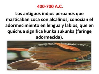 400-700 A.C.
    Los antiguos indios peruanos que
masticaban coca con alcalinos, conocían el
adormecimiento en lengua y labios, que en
 quéchua significa kunka sukunka (faringe
              adormecida).
 