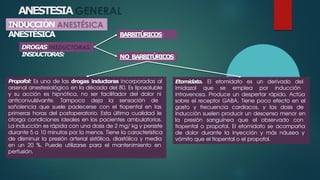 Conceptos Básicos de Anestesiología y Manejo del Dolor Post-Operatorio ...
