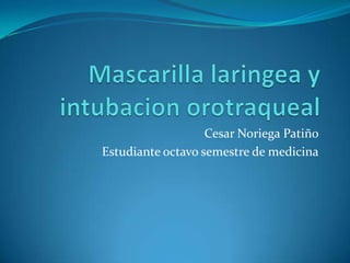 Cesar Noriega Patiño
Estudiante octavo semestre de medicina
 