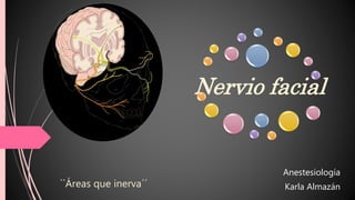 Nervio facial
Anestesiología
Karla Almazán``Áreas que inerva´´
 