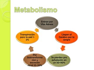 Entran por
                  Vías Aéreas


Transpiración                      Llegan al
poro la piel 1-                  Cerebro por la
     2%                             sangre




             Por
       biotransforma       Se pierden pro
            cion y         exhalación en
          excreción         un 50-90%
       renal 10-20%
 