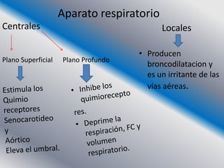 Aparato respiratorio
Centrales                                  Locales

                                     • Producen
Plano Superficial   Plano Profundo
                                       broncodilatacion y
                                       es un irritante de las
                                       vías aéreas.
 